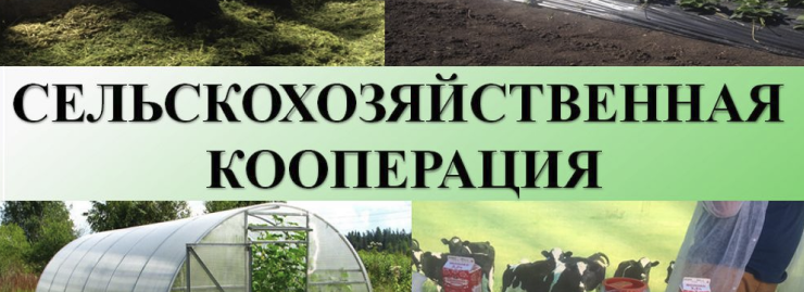 Сельскохозяйственная кооперация